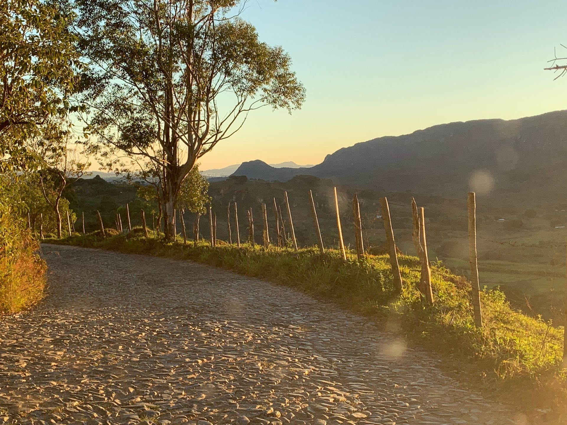 Estrada para Bichinho